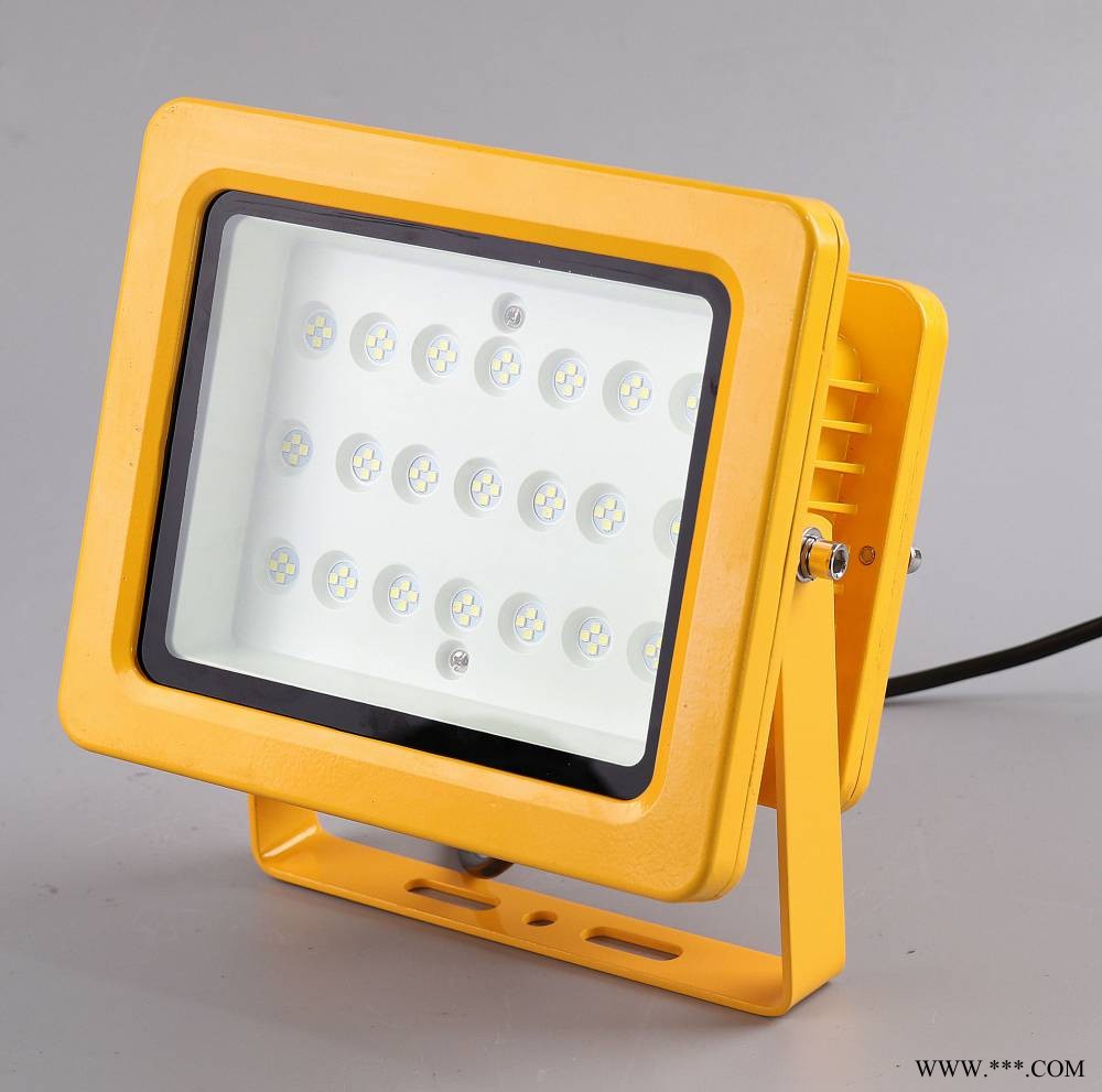 武汉市 LED防爆投光灯 泛光灯 50W 100W图1