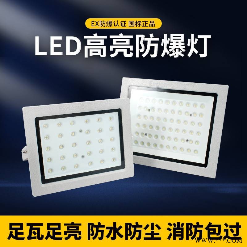防水防尘应急隔爆型加油站泛光灯led车间防爆投光灯图1