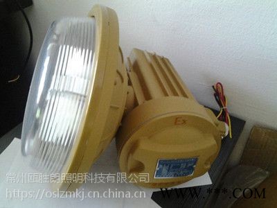 SBD1105YQL120150W森本防爆无极灯免维护三防投光灯低频无极灯防爆灯厂家图1
