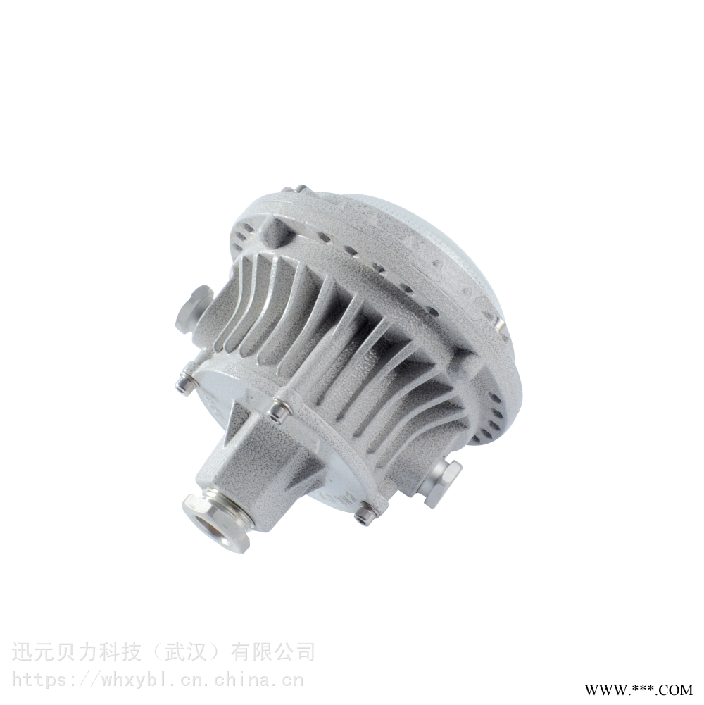 30W吸顶式-南充防爆投光灯-贝力照明图1