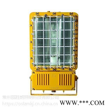 华荣GTD5130防爆泛光灯BAD503投光灯路灯华荣GTD5130250W防爆泛光灯BAT5图1