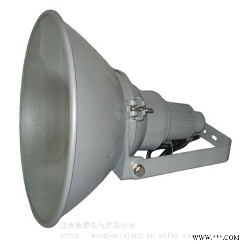 NTC9200NTC9200-1000W海洋王防震型投光灯图1