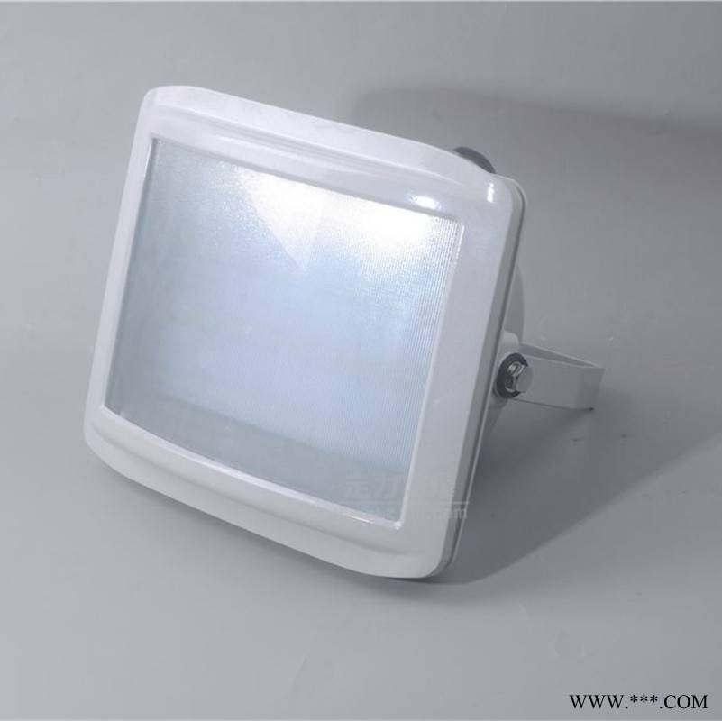 GT001-L70L100L150防水防尘防震投光灯图1