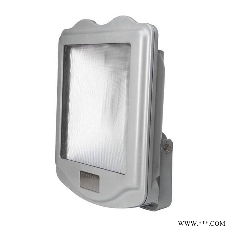 ZY8200变电站外场投光灯250W400W户外防眩路灯三防灯图1
