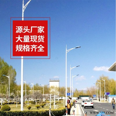 厂家定制6米LED双臂市电路灯 新农村建设6米50w市电路灯价格