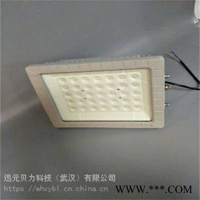 BLD201BLD201-100W护栏式LED防爆投光灯图1