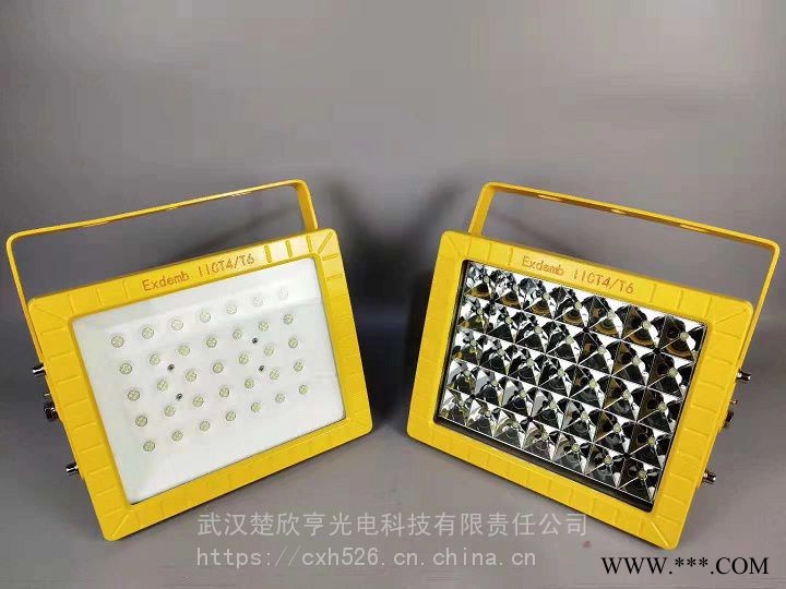 70WLED防爆投光灯70WLED防爆灯壁挂式LED防爆灯70W图1