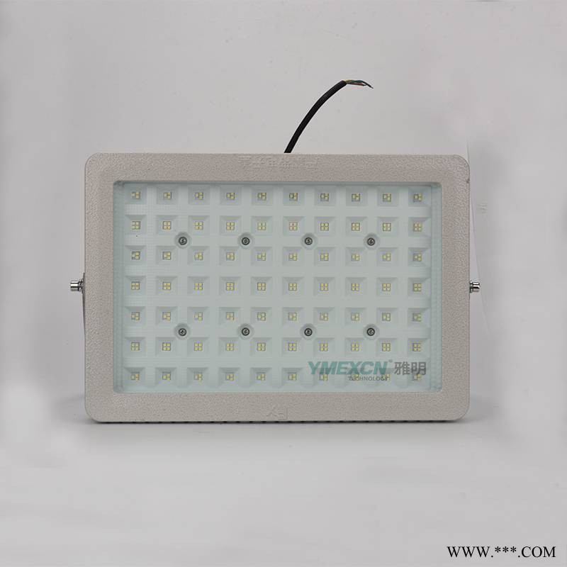 大功率300W400WLED防爆投光灯 户外室内防爆LED泛光灯图1