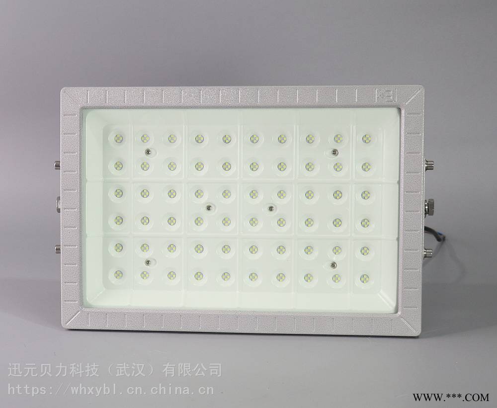 BAF9018路灯式廊道防爆投光灯-BAF9018吸顶式炼油工厂防爆泛光灯图1