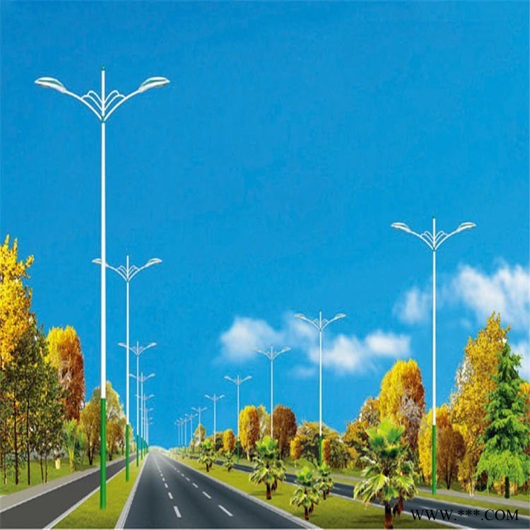 市政市电路灯批发  南宁大功率路灯  双臂LED路灯图1