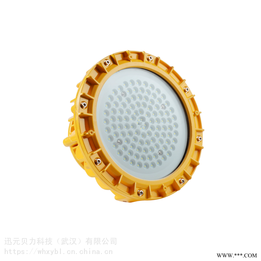 长寿LED核电厂100W防爆应急泛光灯-长寿LED核电厂150W防爆应急投光灯图1