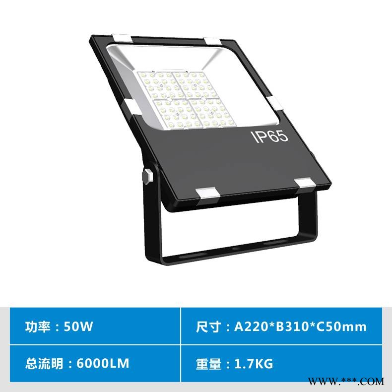 户外楼体建筑亮化照明灯 50W聚光LED投光灯图1