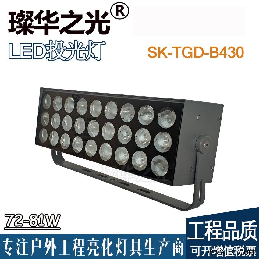 璨华照明SK-TGD-B430高楼外墙罗马柱投射灯窄角度投光灯图1