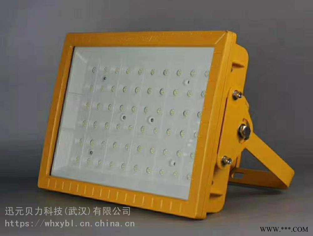 SW8140-SW8140储存仓库吸顶式防爆投光灯SW8140图1
