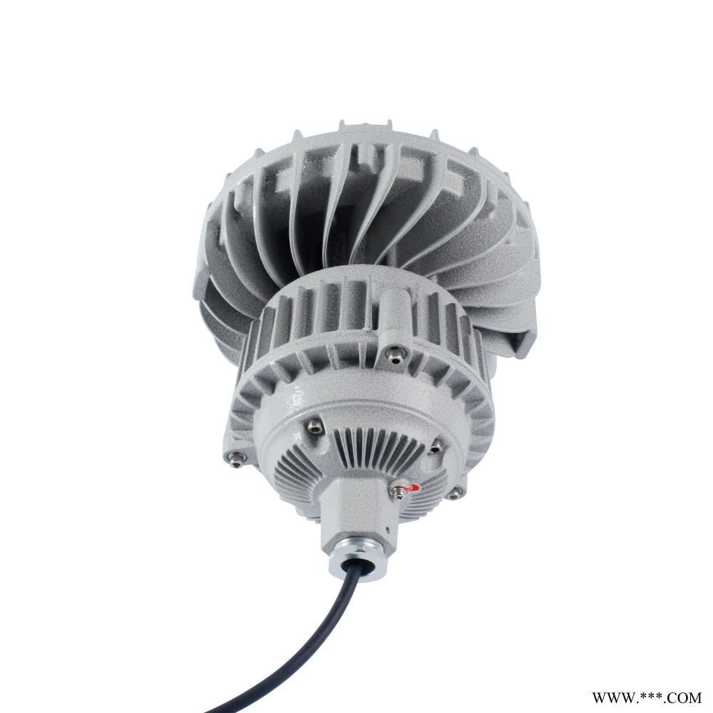 ZGD245-100W照明投光灯ZGD245-150W-ZGD245-200W图1
