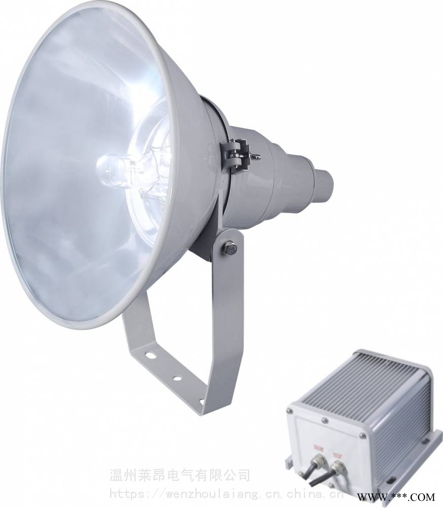 GT101GT102400W1000W防水防尘防震投光灯图1