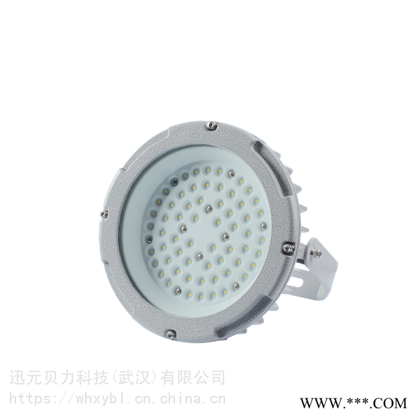 BFC876防爆泛光灯50W抗腐蚀防爆灯BFC8767LED防爆投光灯80W图1