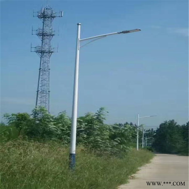 河池宜州太阳能锂电池路灯丨美丽乡村项目丨光伏路灯图1