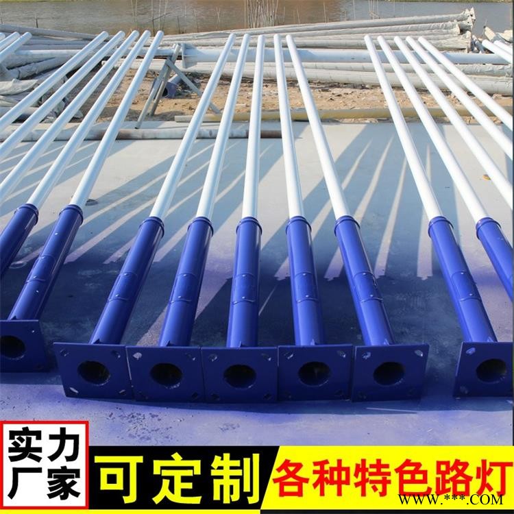 太阳能路灯 德州兴诺 6米30瓦路灯 现货现发  马路路灯图1