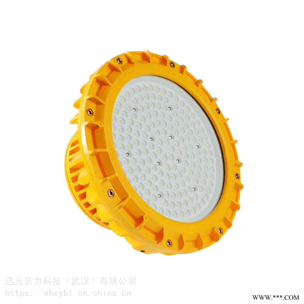 BLD202泛光灯-BLD202应急灯-BLD202投光灯-BLD202平台灯图1