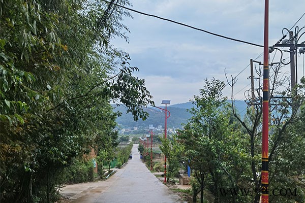 锂电太阳能路灯供应商-瑞丽锂电太阳能路灯-云南亮途源路灯批发图1