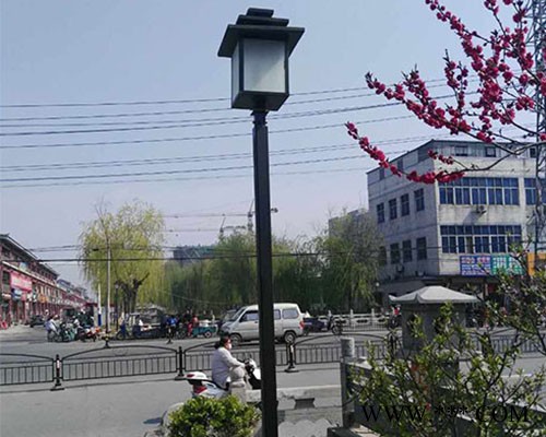 景观庭院灯厂家-星光汇照明工程(在线咨询)-太原庭院灯厂家图1