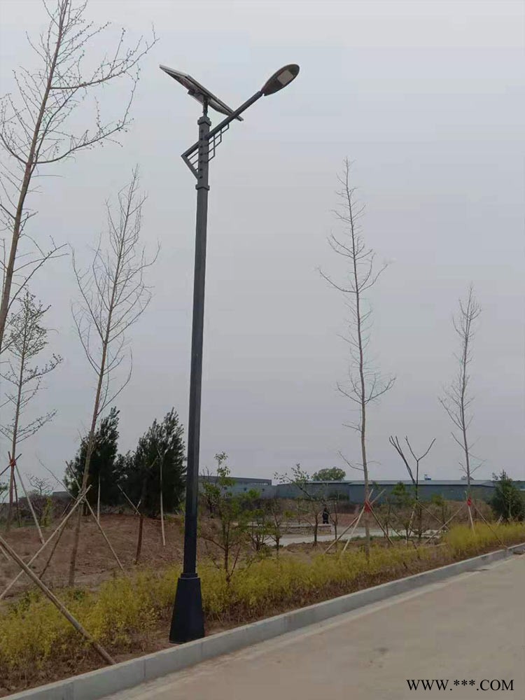 山西永鑫照明路灯厂-6米双头路灯哪有卖的-汾阳6米双头路灯图1