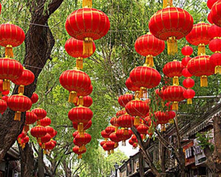 星光汇节日亮化公司(图)-投树灯安装费-太原树灯安装图1