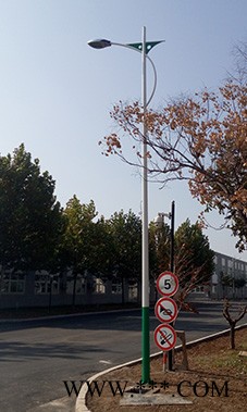 山西8米太阳能路灯-诚泰道路照明有限公司图1