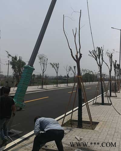 朔州太阳能路灯报价-朔州太阳能路灯-太原诚泰道路照明(查看)图1