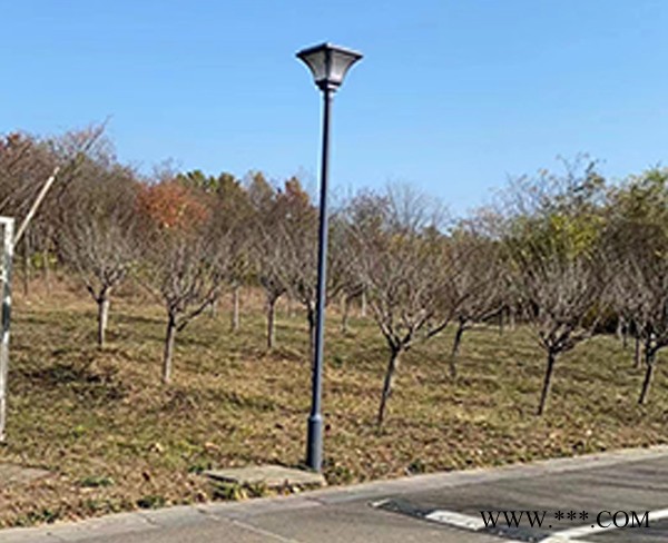 安徽普烁|应用广泛-南昌公路太阳能路灯图1