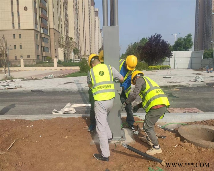 市政市电道路灯工程-临汾市电道路灯-中汾亚明公司(查看)图1