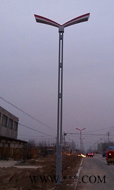 太原6米太阳能路灯-诚泰道路照明有限公司-6米农村太阳能路灯图1