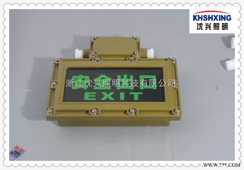 LED防爆标志灯厂家  疏散指示灯图1