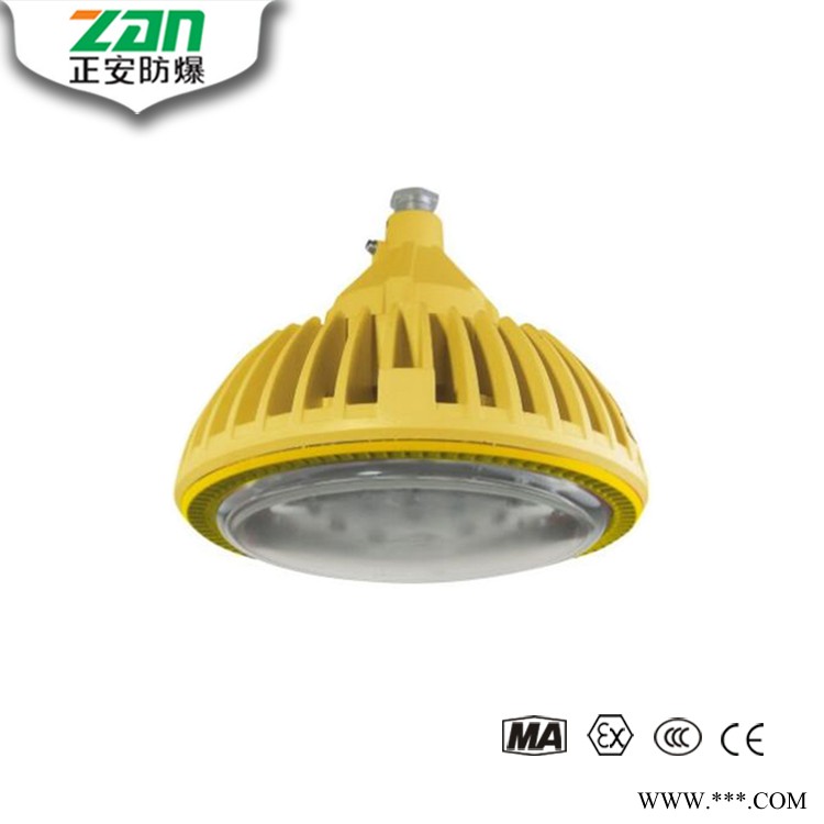 ZAD103-Ⅲ LED免维护防爆灯图1