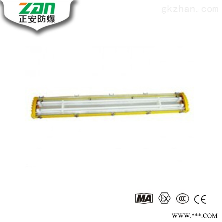 BYC8340/HX防爆荧光灯图1