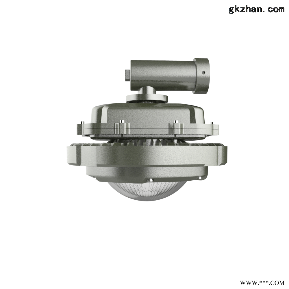 GCD98/LED防爆道路灯/80-150W（带路灯把）图1