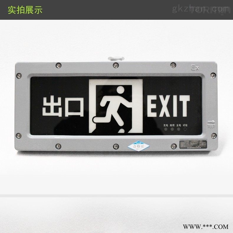 消防应急标志灯图1