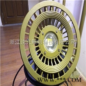 90WLED防爆灯  LED防爆泛光灯图1