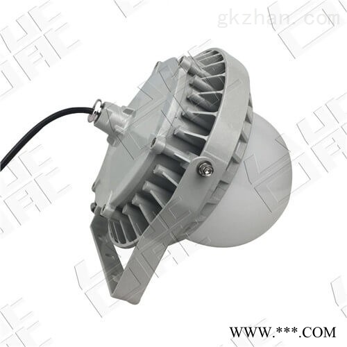 30wled防爆路灯 led防爆灯图1