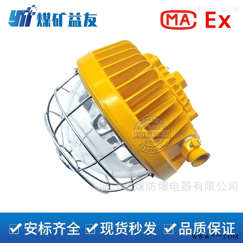 行业标准型-矿用隔爆型LED巷道灯图1