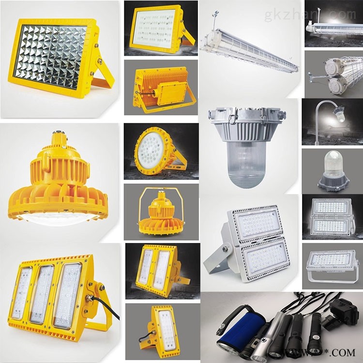 ZL8921防爆泛光灯 LED防爆灯厂家品牌图1