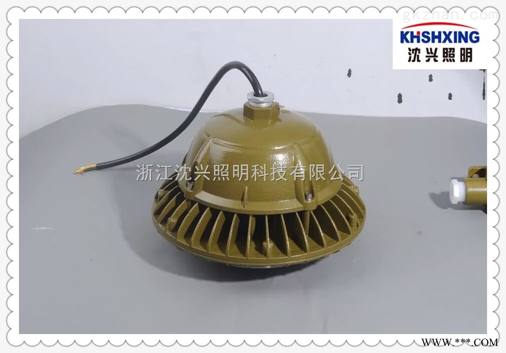 60WLED防爆灯 LED三防灯图1