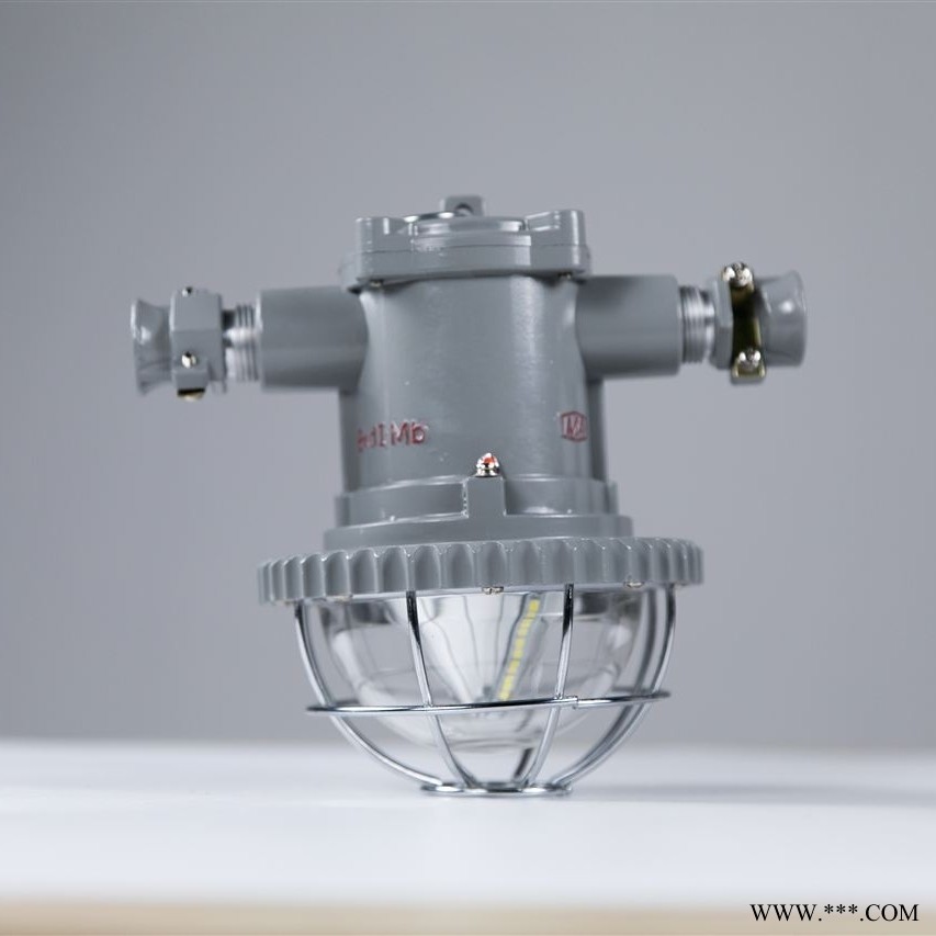 LED隔爆泛光灯 127V矿用防爆灯图1