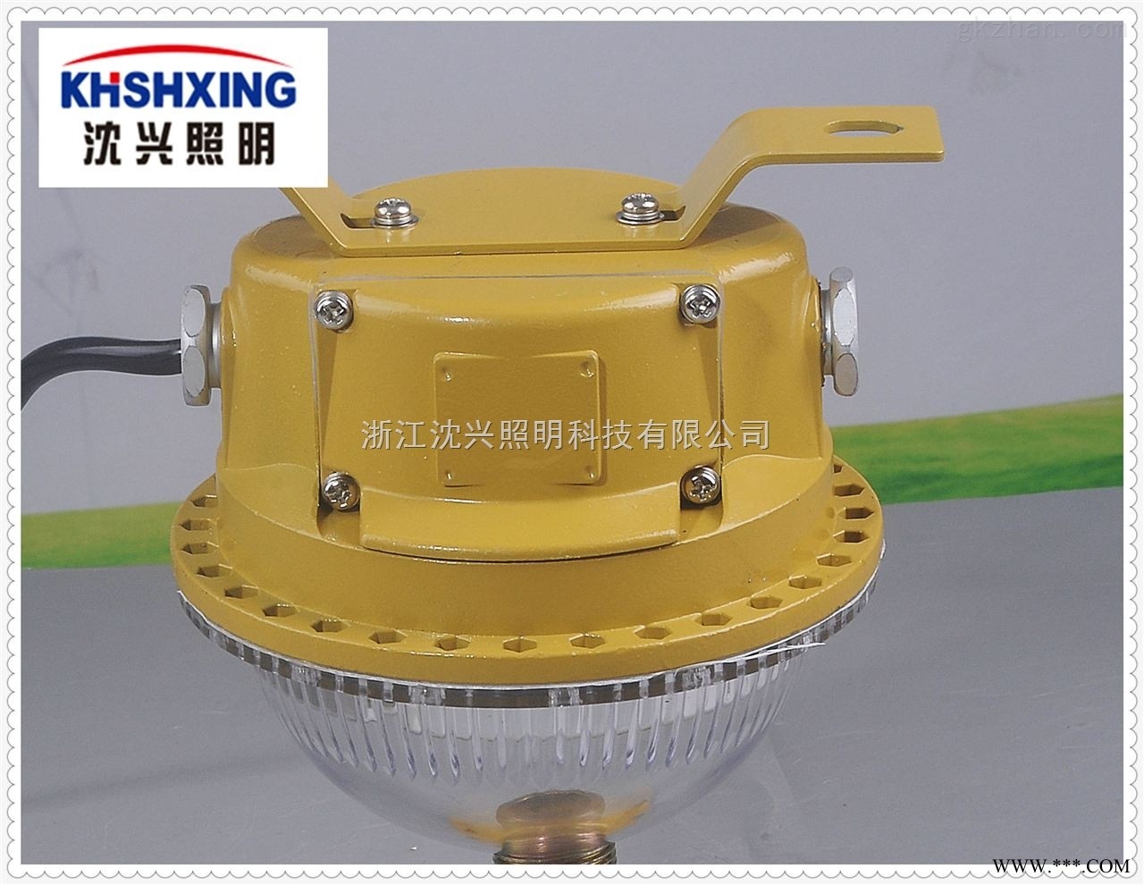 10瓦LED防爆灯 LED防爆照明灯图1