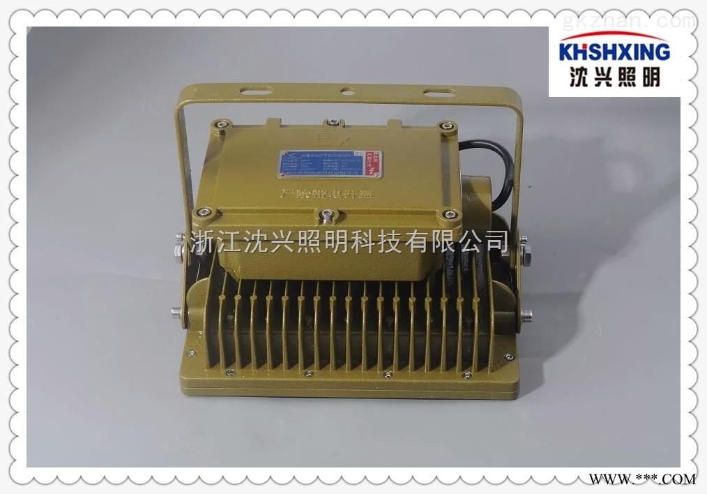 50瓦LED防爆灯 LED防爆泛光灯图1