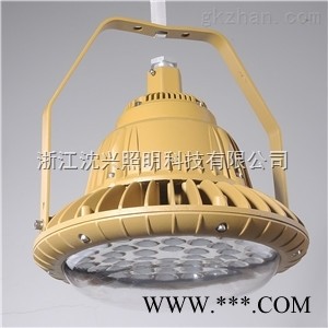 80WLED防爆灯  LED防爆照明灯图1