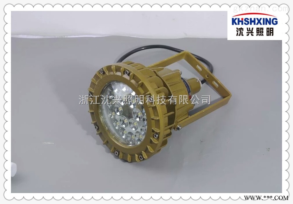 40WLED防爆灯  LED防爆照明灯图1