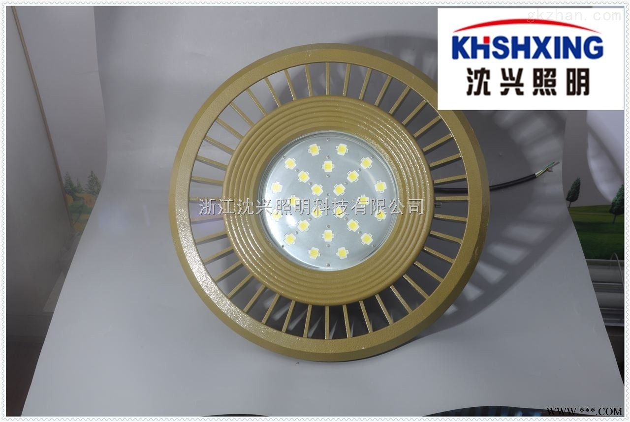 200WLED防爆灯 LED防爆投光灯图1