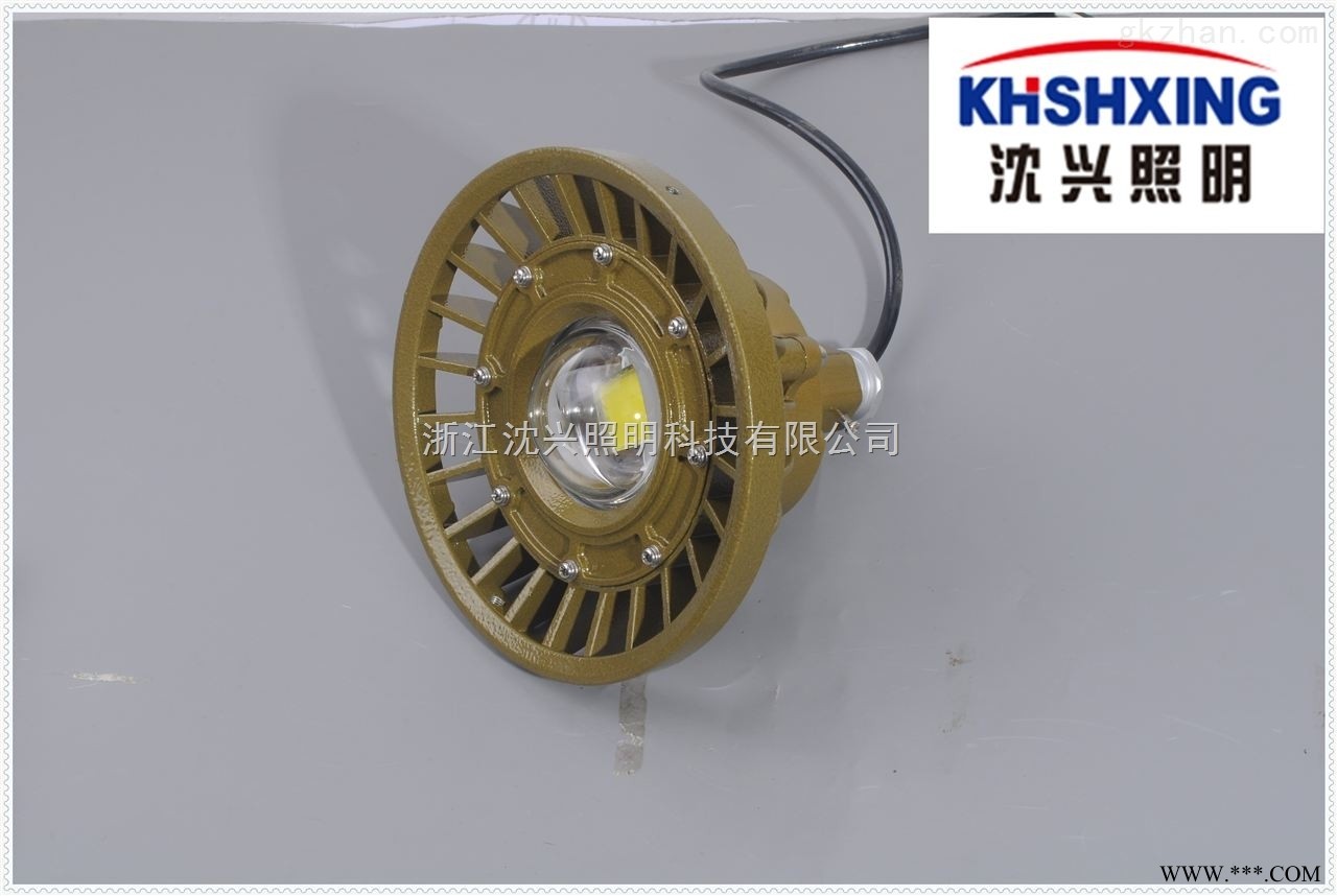 20WLED防爆灯  LED防爆投光灯图1